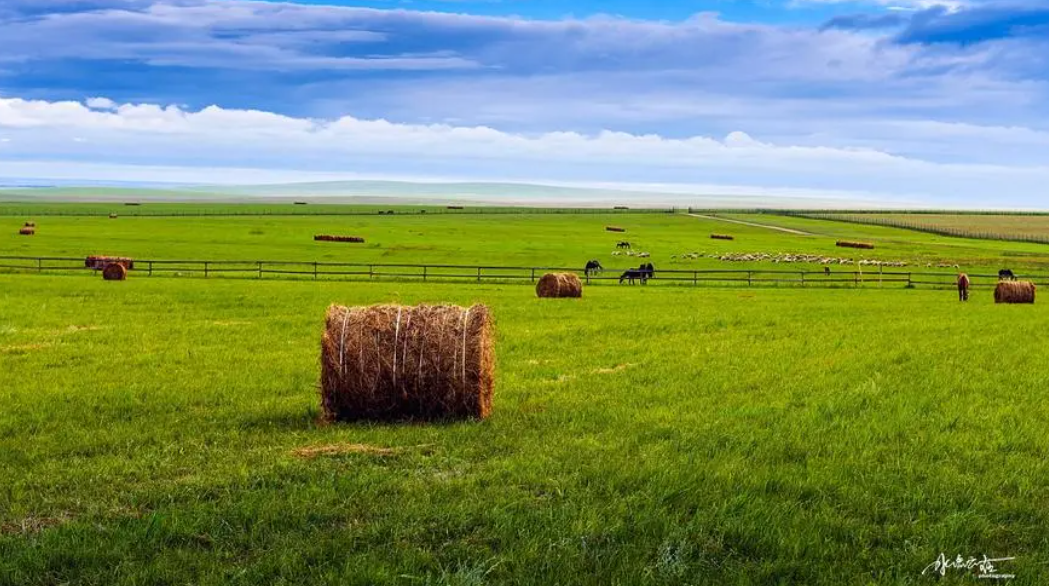 通遼市錦贏食品有限公司