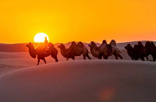 內(nèi)蒙古青龍山農(nóng)副商城